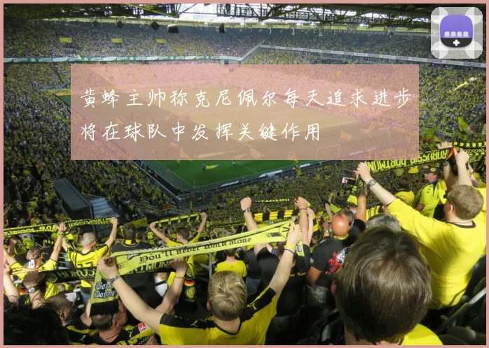 黄蜂主帅称克尼佩尔每天追求进步将在球队中发挥关键作用