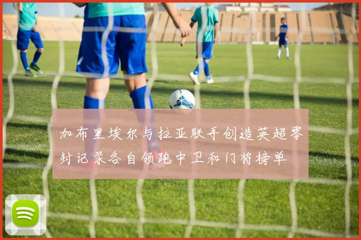 加布里埃尔与拉亚联手创造英超零封记录各自领跑中卫和门将榜单